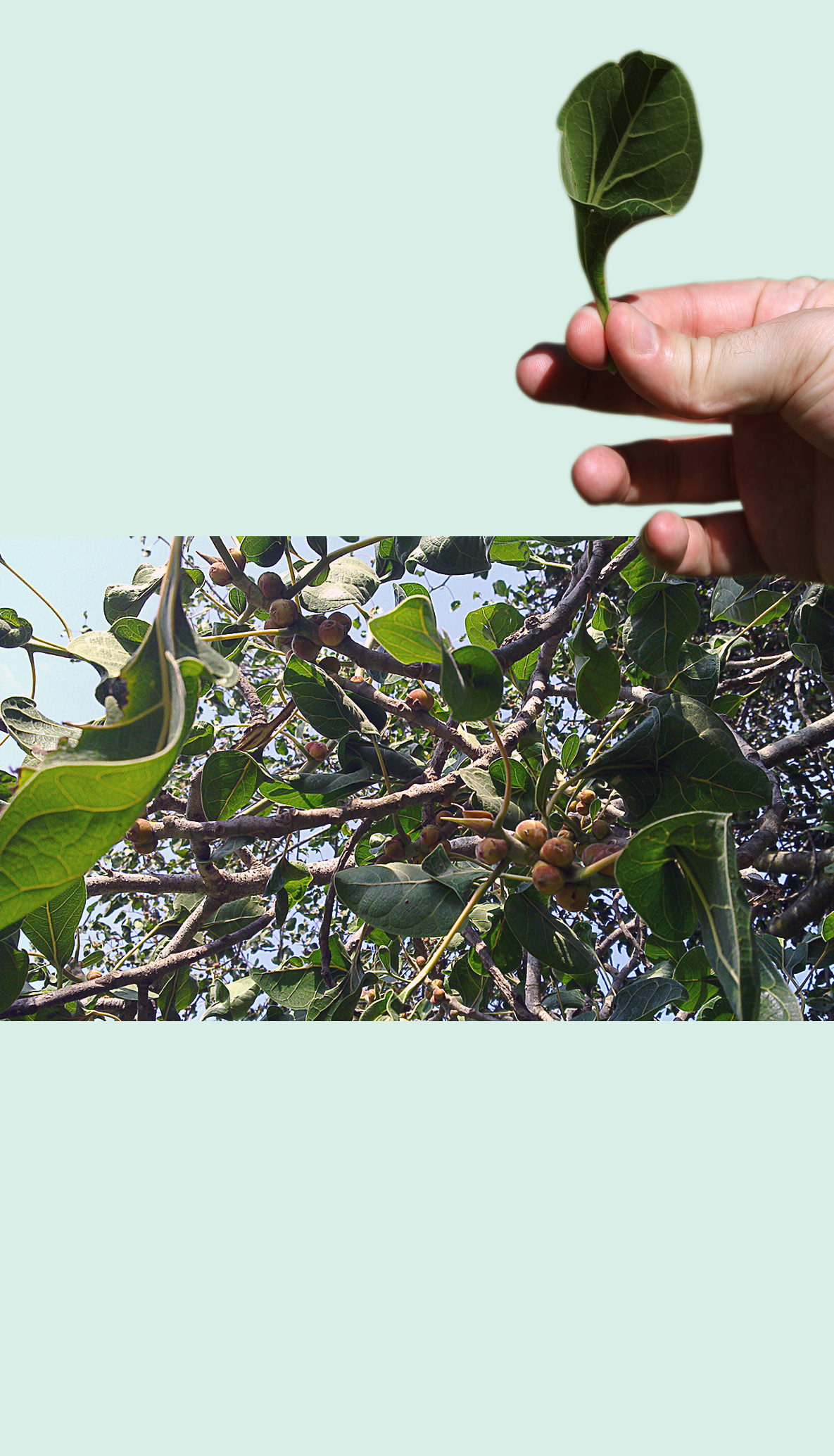 Picture from page 19 of Manohriday, October–December 2012