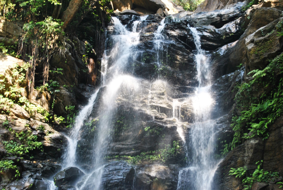 Picture from page 22 of Manohriday, January–March 2013