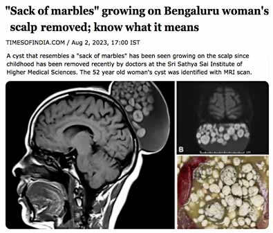 Picture from page 31 of Manohriday, January 2024