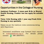 Opportunities in the college of Nursing