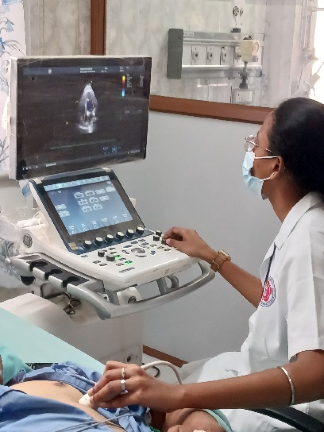 GE Vivid S70 portable